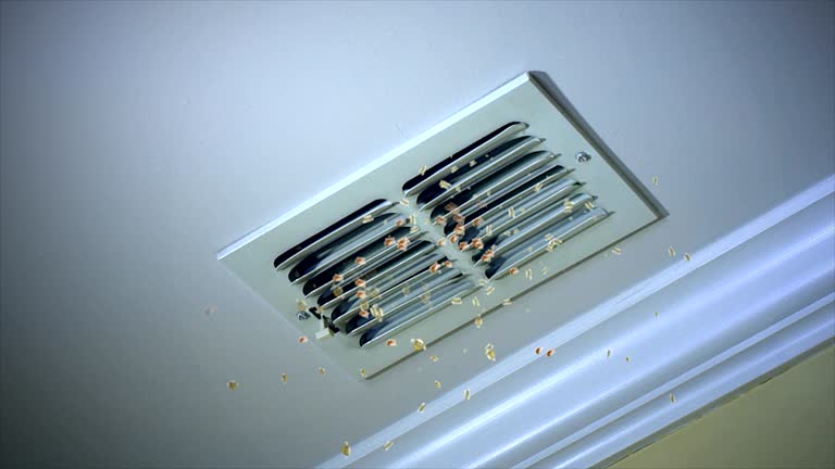 Best Best Air Duct Cleaning Company  in Lincolnwood, IL