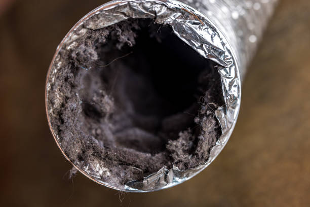Best Residential Air Duct Cleaning  in Lincolnwood, IL
